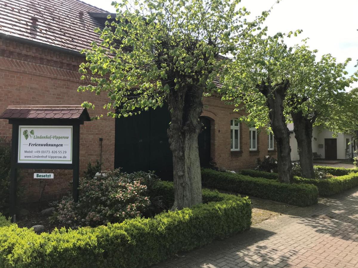 Lindenhof, Wohnung 1, Giebel Vipperow Eksteriør billede