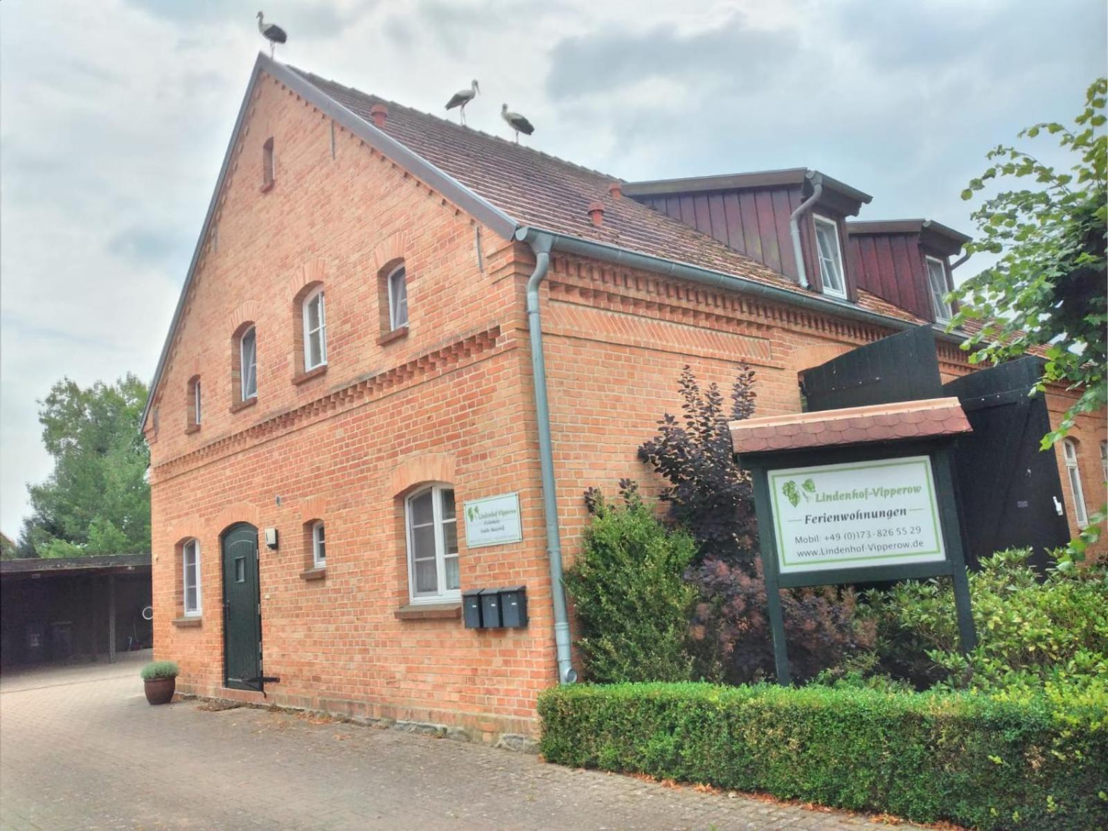 Lindenhof, Wohnung 1, Giebel Vipperow Eksteriør billede